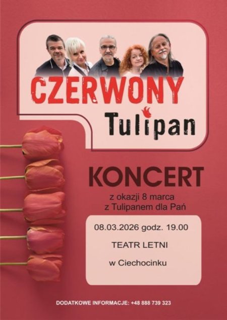 8 marca z Czerwonym Tulipanem